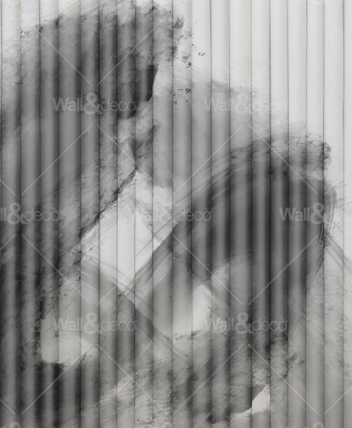 MACULA