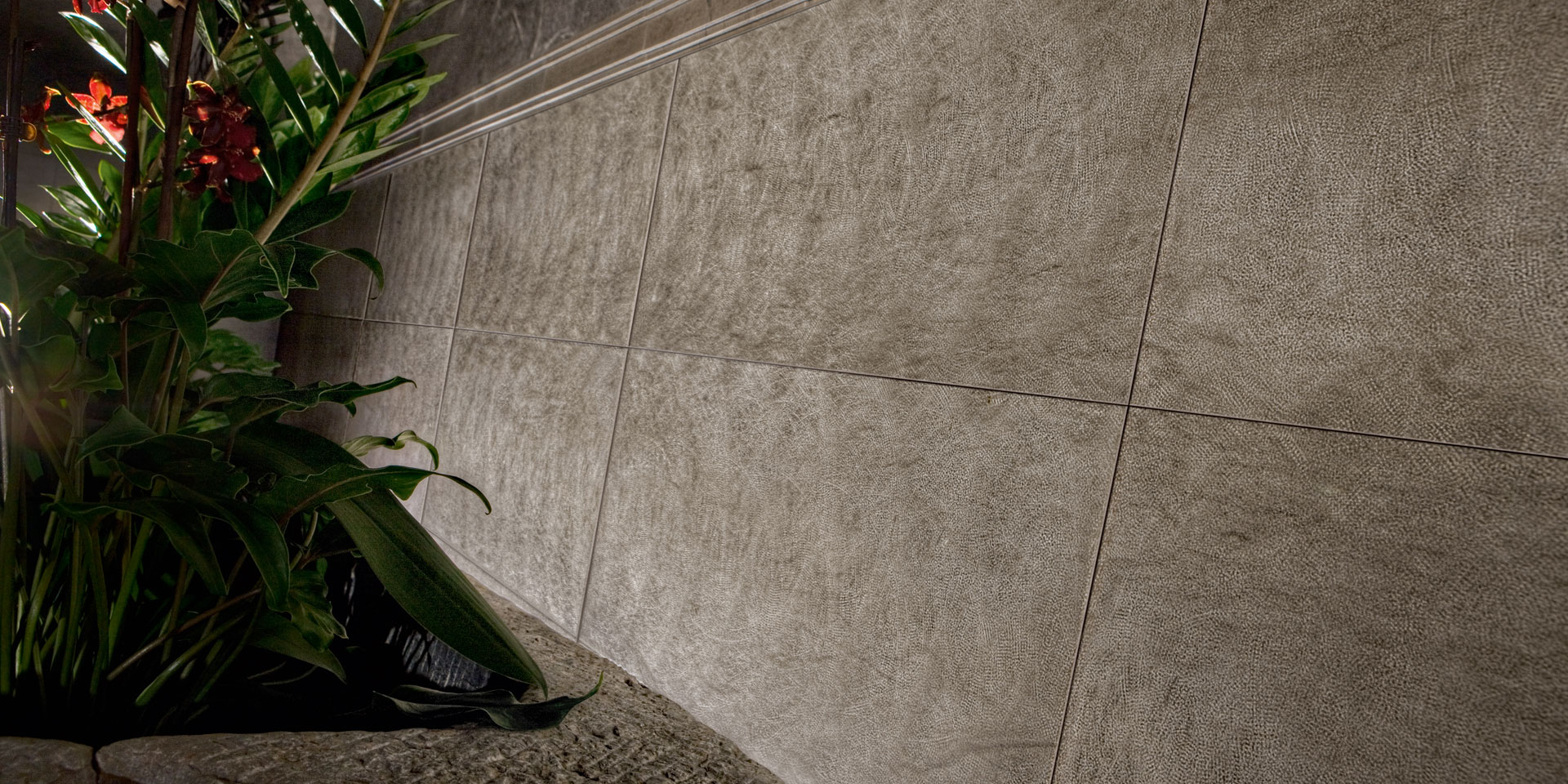 SURFACES